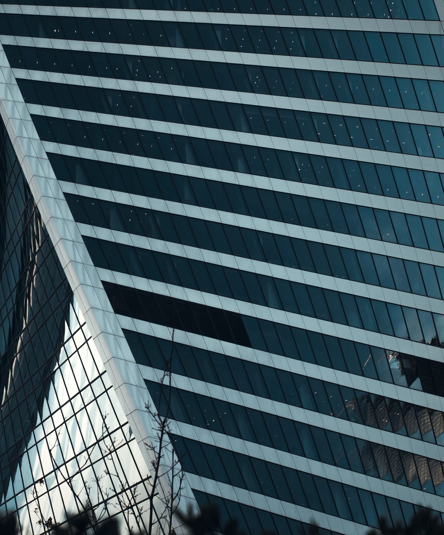 Glass curtain wall detail