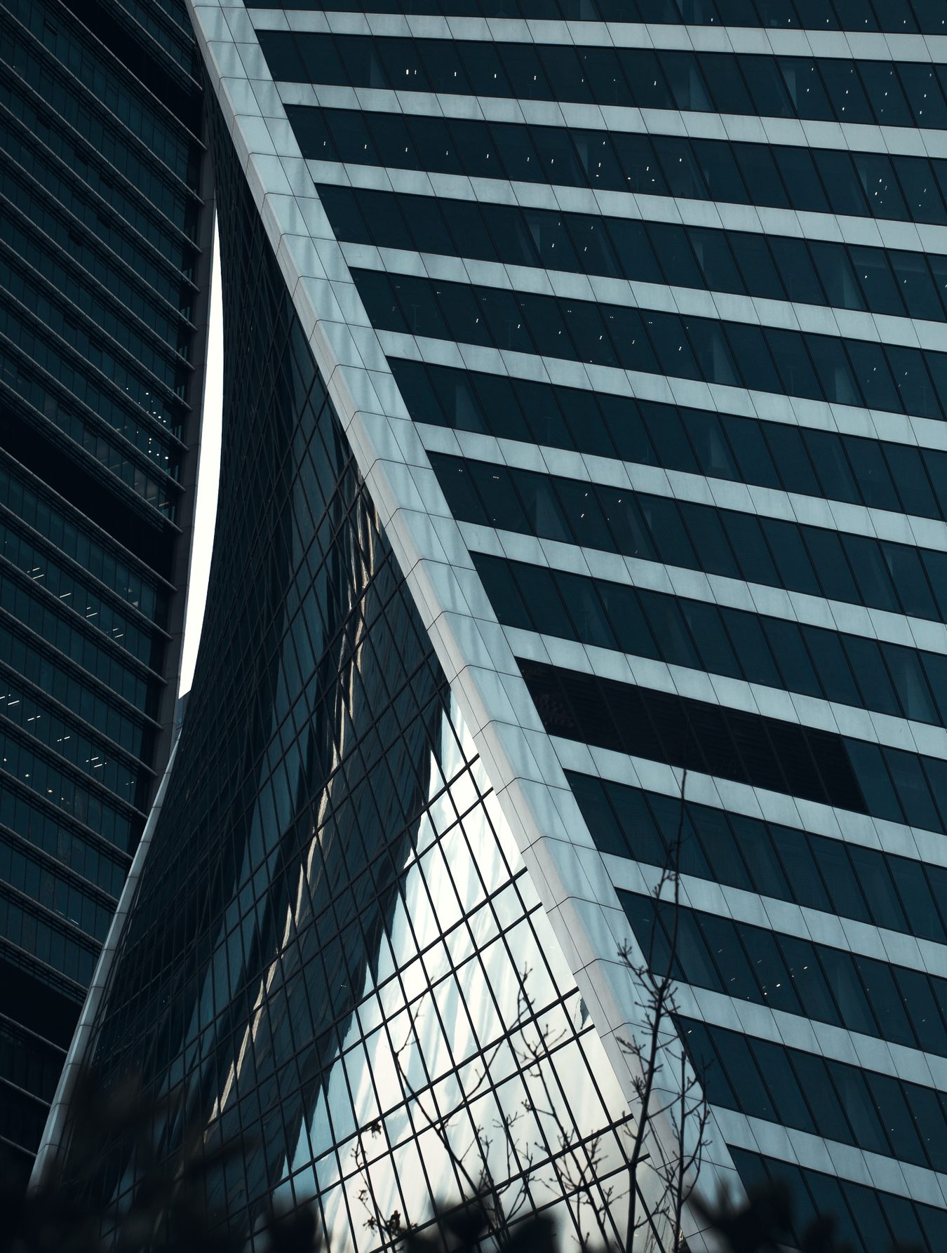 Glass skyscraper seen from below